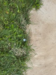 palla-infossata-area-generale-bunker-quiz-golf.jpg
